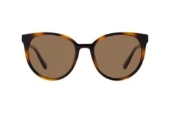 Le Specs ARMADA LSP2202567 -Le Specs 6852649 d 1